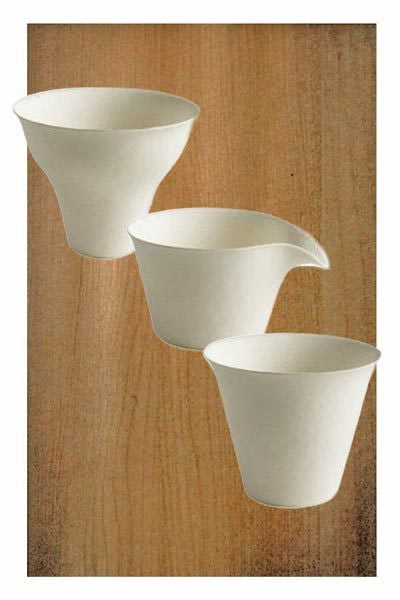 Tree Free Paper Cup