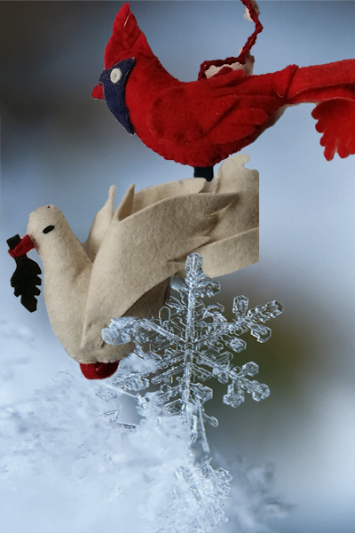 Handmade Boiled wool ornaments - birds